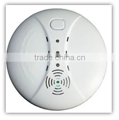 TOP Quality DC12V Car LPG Gas Alarm