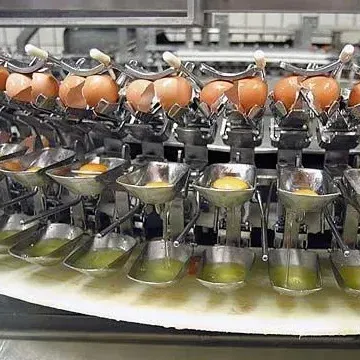 Shanghai New Egg Liquid Powder Processing Machine for Snack Meat Vegetable Flour Mill/Winery/Bakery Applications Engine Motor photo-4