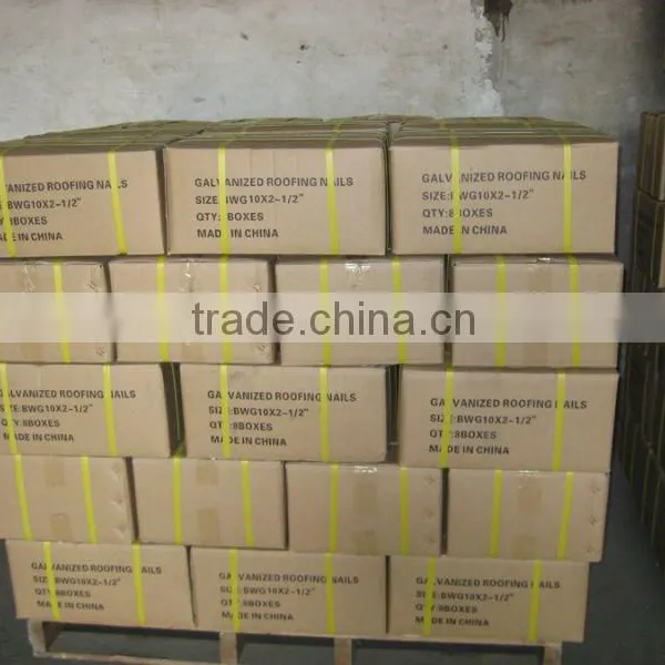 Electro Galvanized Twisted Shank Roofing Nails photo-6