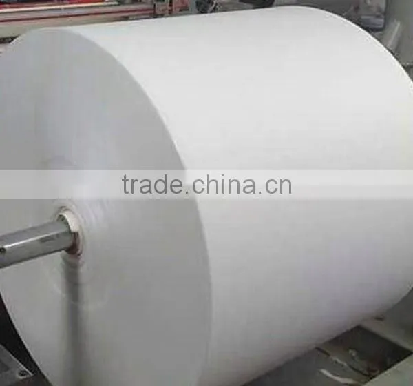 Best Quality Good Feedback Factory Price Food Grade Paper Cup Stock Paper photo-3