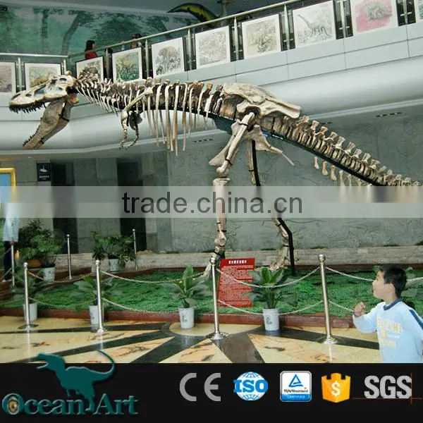 OA-DS-16051301 Replicated Dinosaur Fossils photo-4