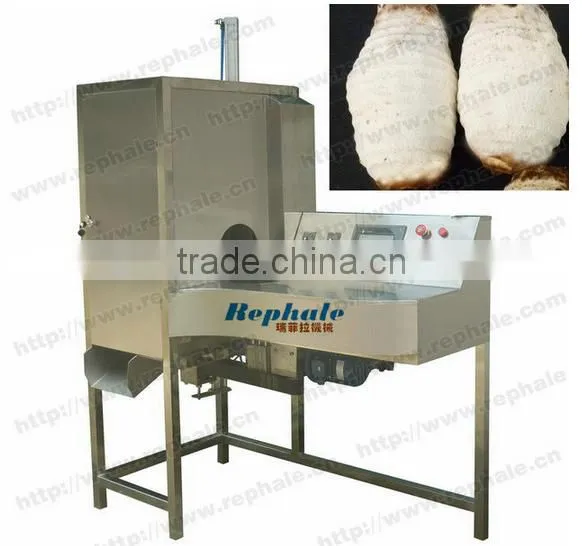 Best Price Fruits Peeler photo-2