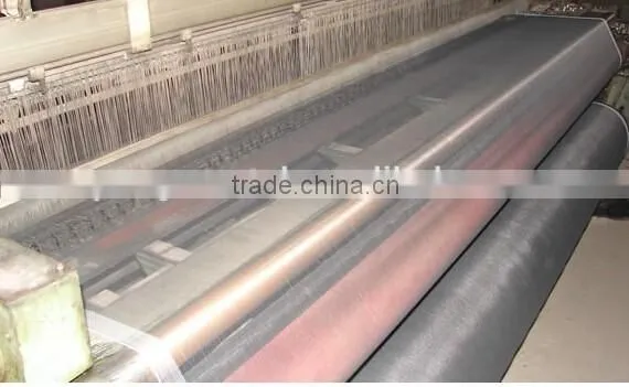 Hebei Factoryprice High Quality Window Insect Screen photo-2