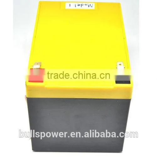 Better Consistency 24v 12v 12ah Rechargeable Battery for Electric Vehicle photo-6