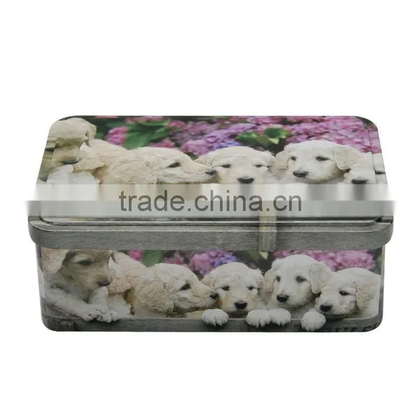 Wholesale Dog Pet Food Storage Tin Box Custom Safe Grade Metal Container Packing Tin Cans for Food Canning Quality Choice photo-5