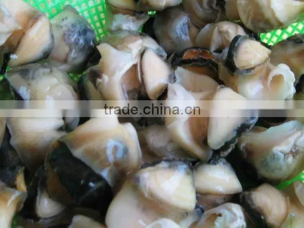Frozen Boiled Top Shell Meat