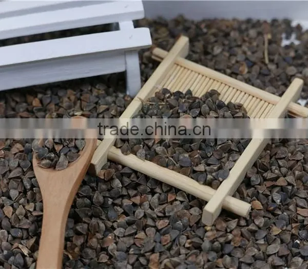 High Quality Raw Buckwheat Price photo-5