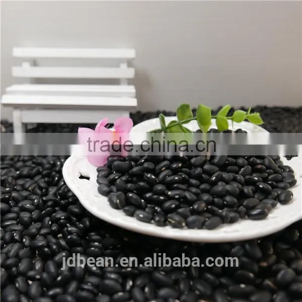 Small Black Kidney Bean /black Bean Price photo-6