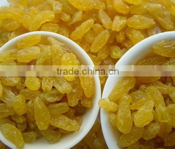 Golden Raisins Sultana Raisins Golden Grape Seedless Raisins Snack Fruit Dried Fruit