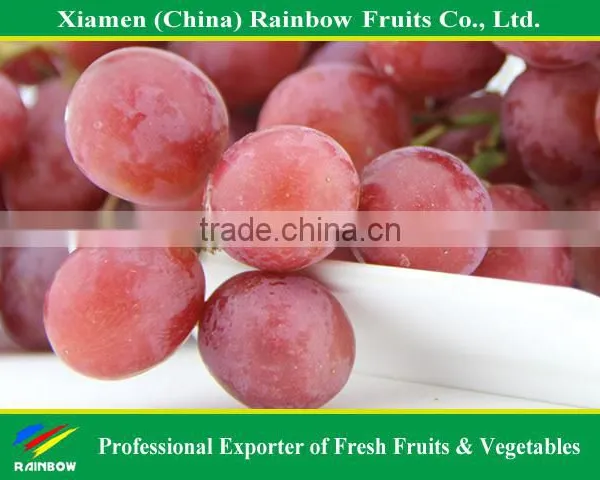 Fresh Chinese Table Grape Red Globe Grape Red Grape to India Asia Market photo-4