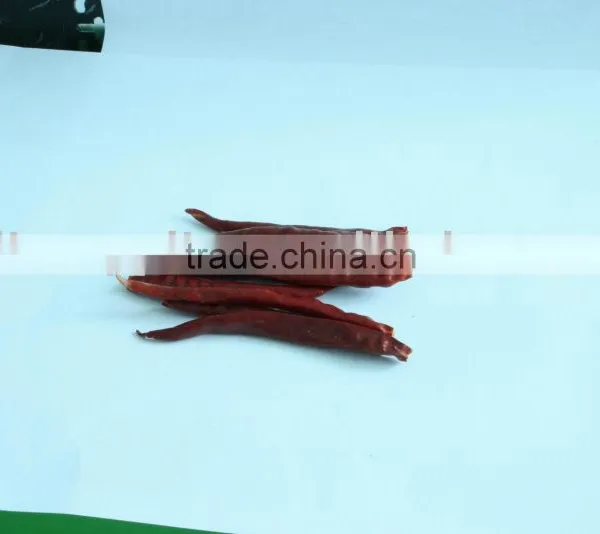 Dried Chilli