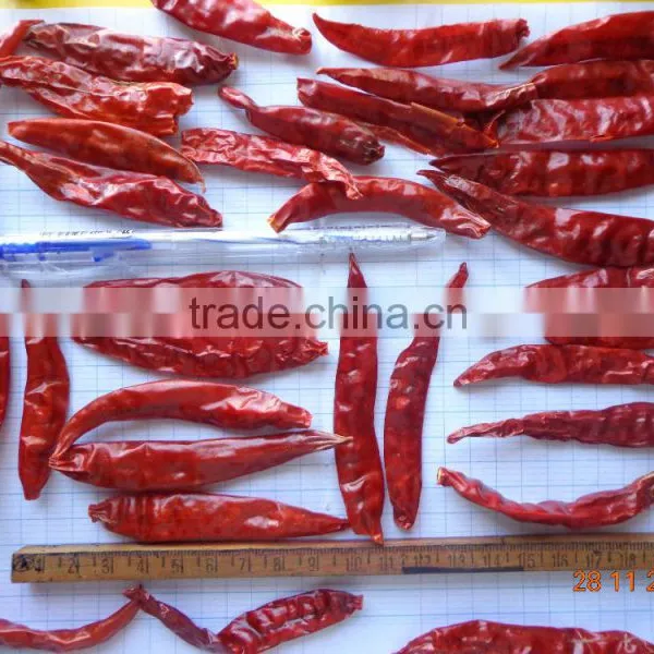 Dried Chilli photo-5