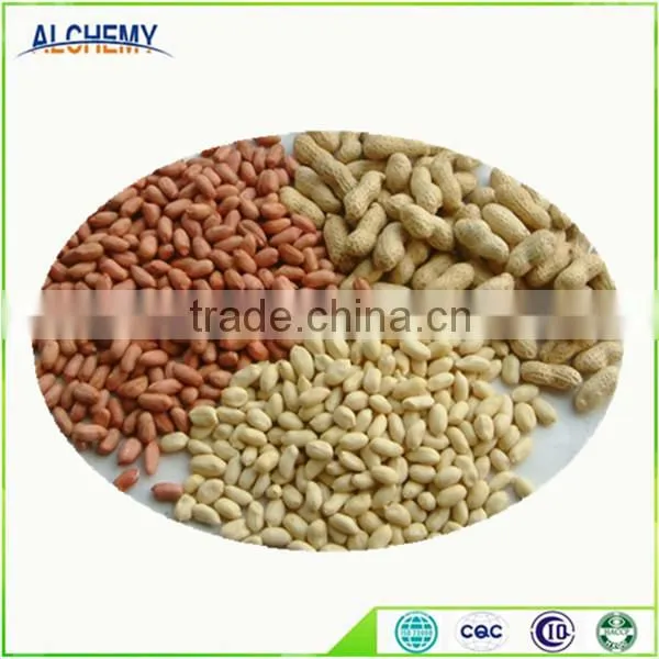 Chinese Peanuts Kernel for Hot Sale and With Free Sample for You photo-2