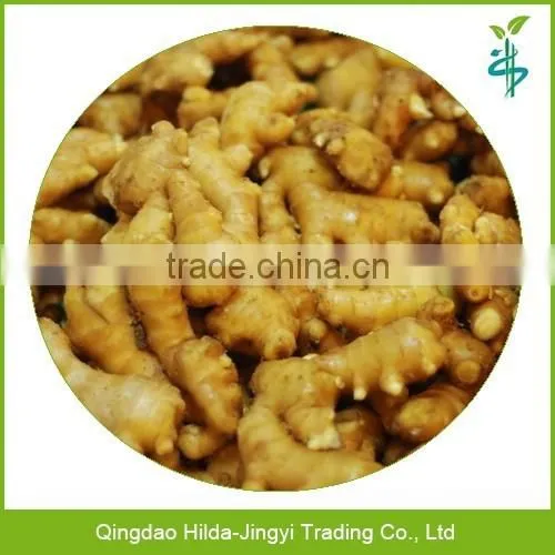 2015 Hot Sell Varieties of Ginger