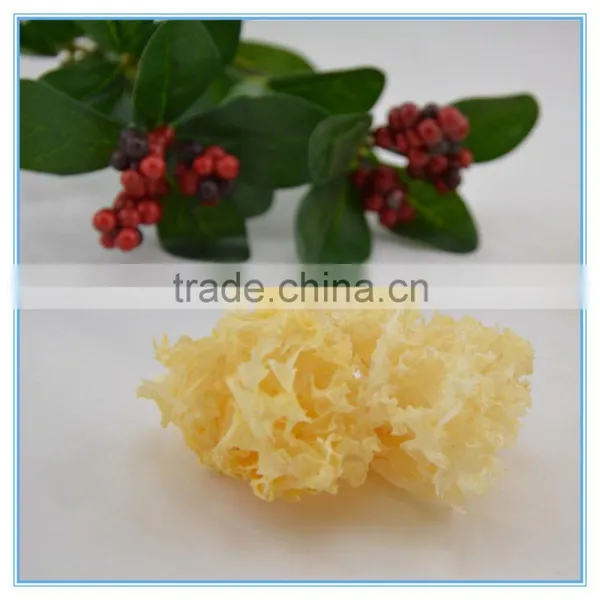 Chinese Tremella Fuciformis Jelly Fungus photo-2