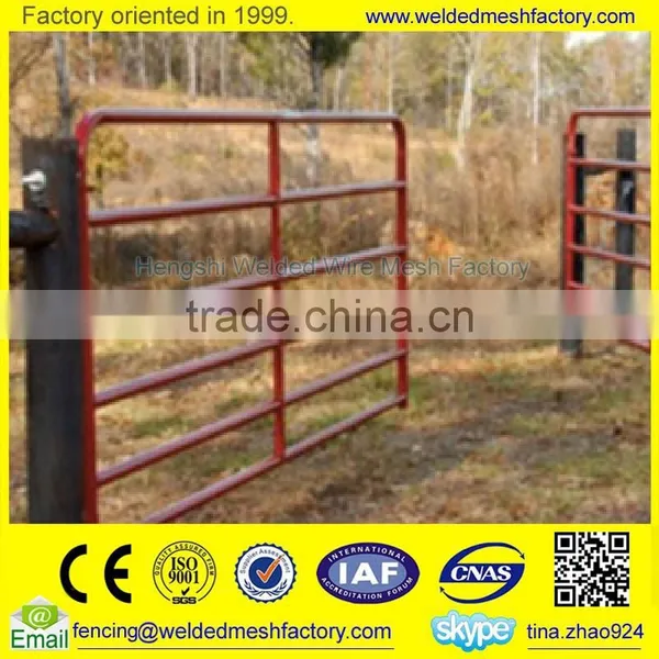 Modern Steel Gates and Fences photo-4
