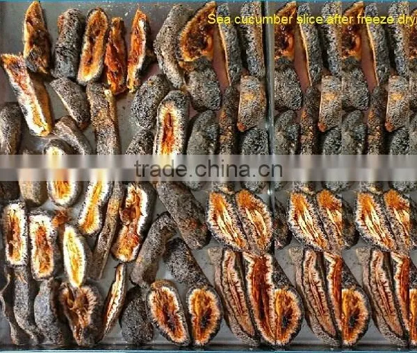 TPV-50F Silicon Oil Heating Lyophilizer Equipment For Food Fruit (0.7 Square Meter,drying Curve Display) photo-2