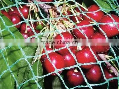 Anti Bird Net for Farming photo-3