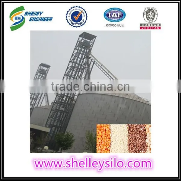 High Quality Steel Painting Bucket Elevators photo-6