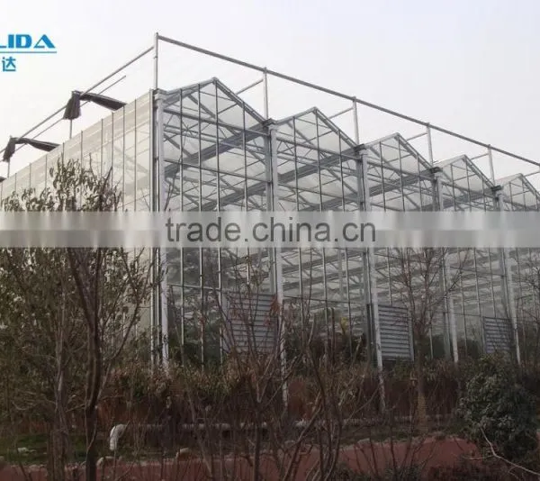 Arc Multi-span Glass Greenhouse for Strawberry photo-2