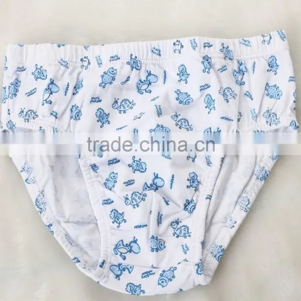 Kids Underwear Wholesale Designed Underwear Teen Sexy Boys Briefs photo-4