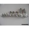 Stainless Steel Carriage Bolts