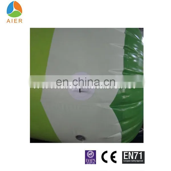 Yuele 23*20ft Custom PVC Inflatable Arch Door for Outdoor Advertising photo-6