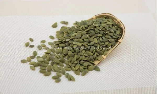 Shine Shell Pumpkin Kernel photo-4