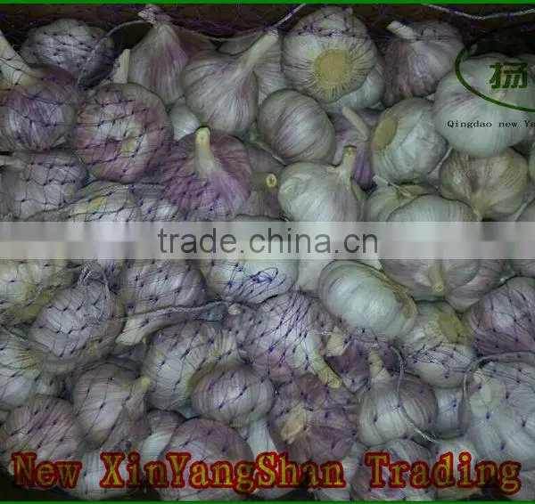 GARLIC!FRESH GARLIC!Good Faith the Seller photo-5