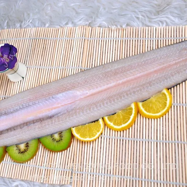 Frozen Roasted Eel (Unagi Shirayaki) Good Quality From China