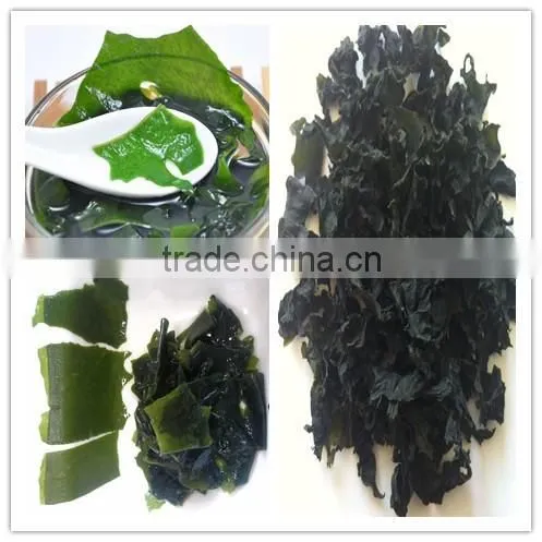 Dried Wakame Cut (Undaria Pinnatifida) for Soup photo-4