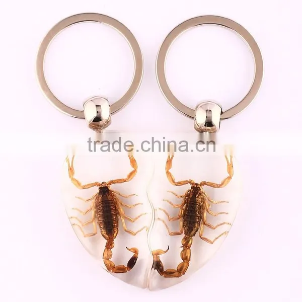 2016 New Keychain With Real Insect photo-4