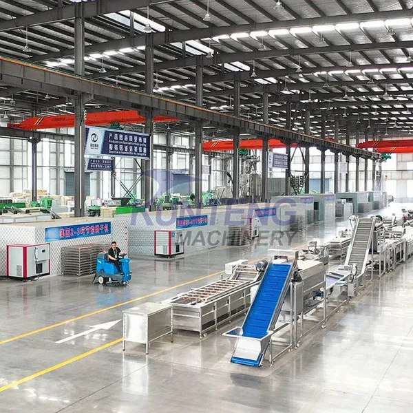 Commercial Heat Pump Olive Drying Machine Rosa Roxburghii Dehydrator photo-5