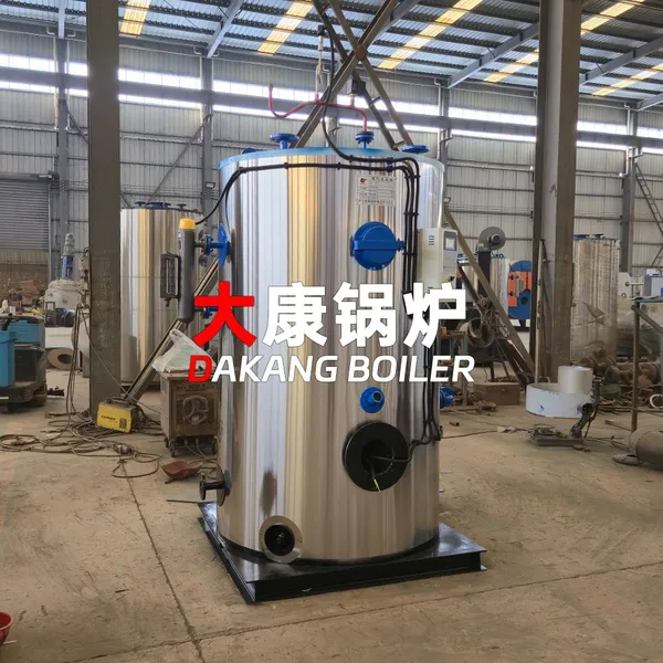 Yinchen Low Pressure Gas Steam Boiler Natural Gas LPG Biogas Fired Industrial Steam Boiler photo-3