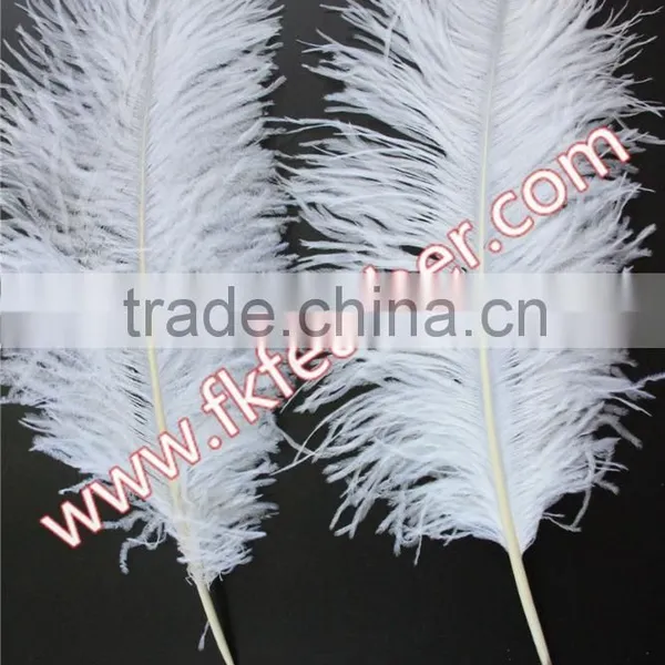 Natural Craft Feather Big White Ostrich Feather For Wedding And Party Decoration 60cm-65cm photo-2