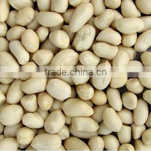 Peanut Butter Ginder/Maker Machine|Stainless Steel Tahini Making Machine photo-5