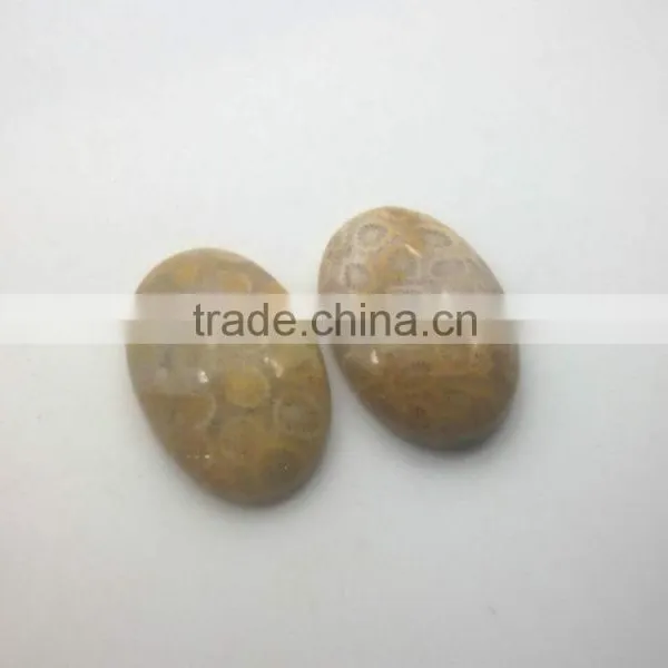Wholesale High Quality Smooth Polished Natural Fossilized Coral Stone Cabochon