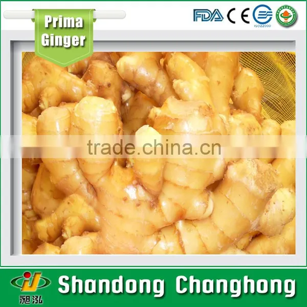 [HOT] Ginger root/Ginger price/price of Fresh ginger