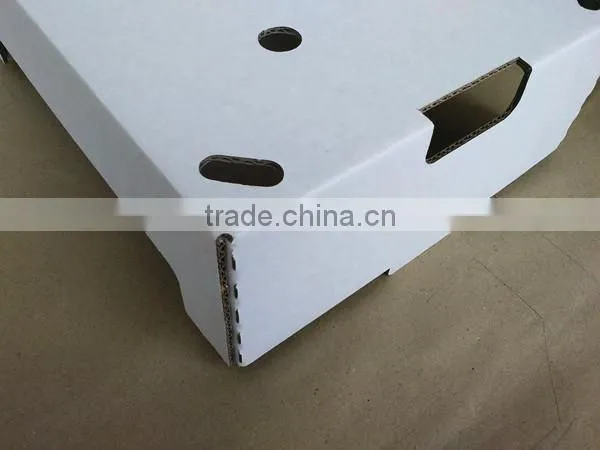 Best Quality Corrugated Mango Packing Box photo-6