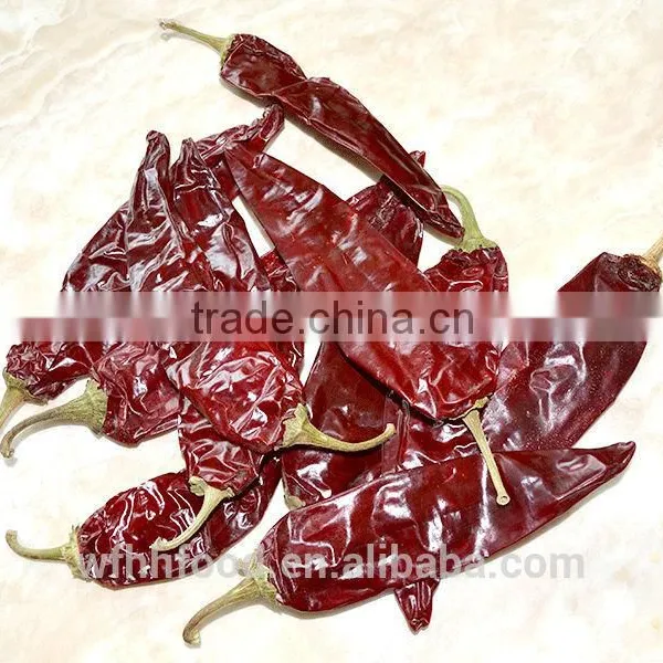 Dry Red Chili for Sale photo-5