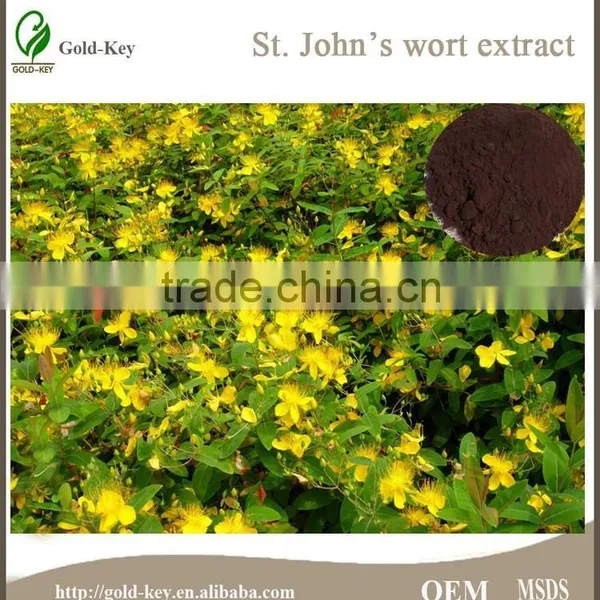 Anti Depression St.John's Wort Extract in Plant Extract Quality Choice photo-5