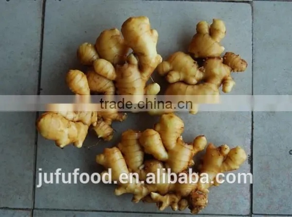 Low Price Fresh Ginger From China photo-2