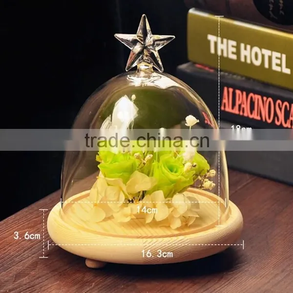 Glass Cake Plate With Dome photo-2