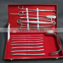 DELIVERY Dilator Sets