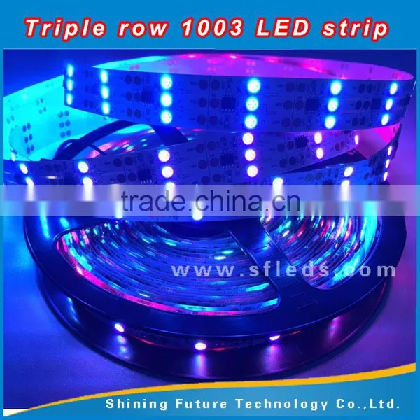 Decoration 5050 SMD 1003 ic Ouside Waterproof DC12V Addressable Triple Row Led Strip photo-3