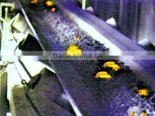 Heat-resistant Conveyor Belt photo-3