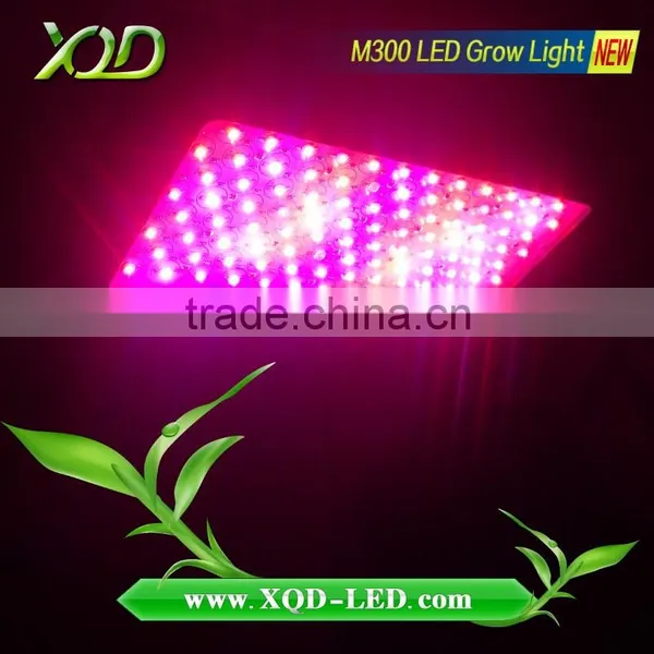 300w Hot Selling 2016 Amazon Full Spectrum Grow Light Made in China photo-3