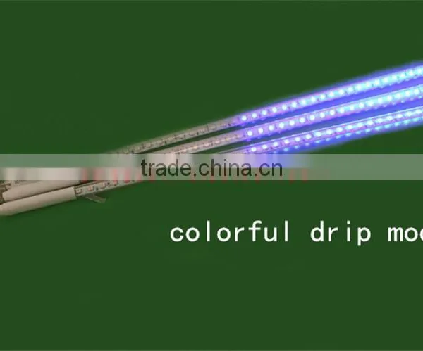 2016 REALLY Hot Selling Christmas 3d Disco Smd5050 Programmable Led Christmas Lights photo-2