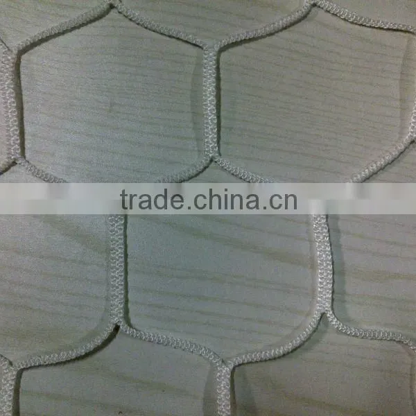 Hexagon PP Goal Net