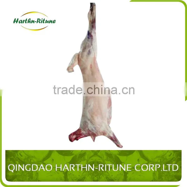 Halal Meat Wholesale Frozen Lamb Carcass photo-6